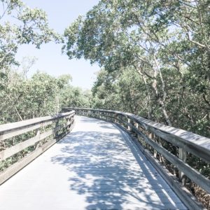 How to Live Like a Local in Naples, Florida | Clam Pass Park