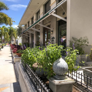 How to Live Like a Local in Naples, Florida | Gattle's