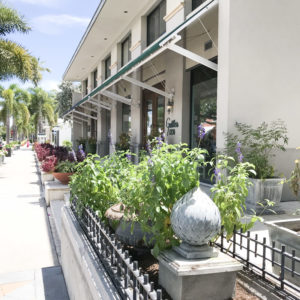 How to Live Like a Local in Naples, Florida | Gattle's