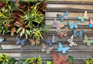 butterfly wall with plants