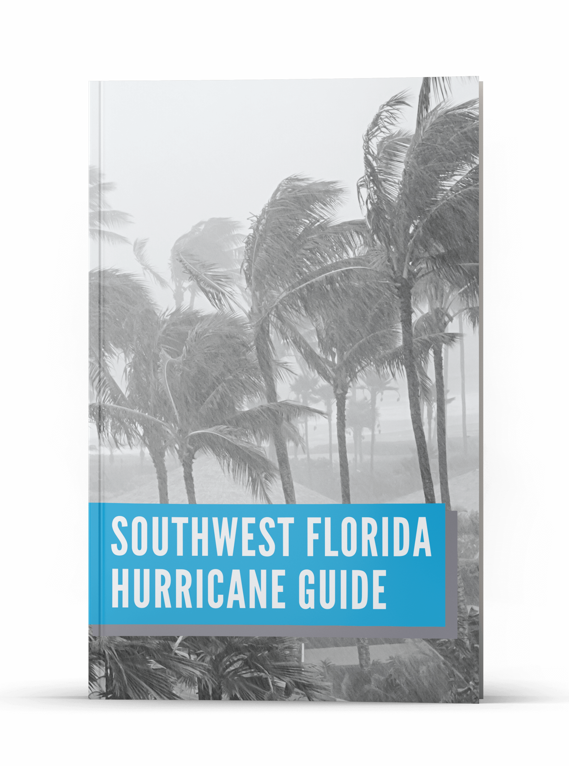 Sonja Pound | Hurricane Prep Guide | Realtor