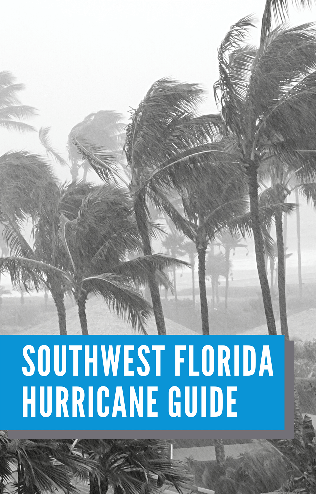Naples Hurricane Guide by Sonja Pound