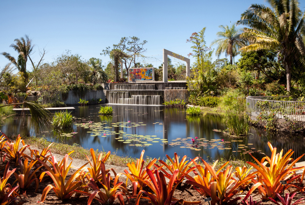 Naples-Botanical-Garden-Water-Lillies-and-Waterfall