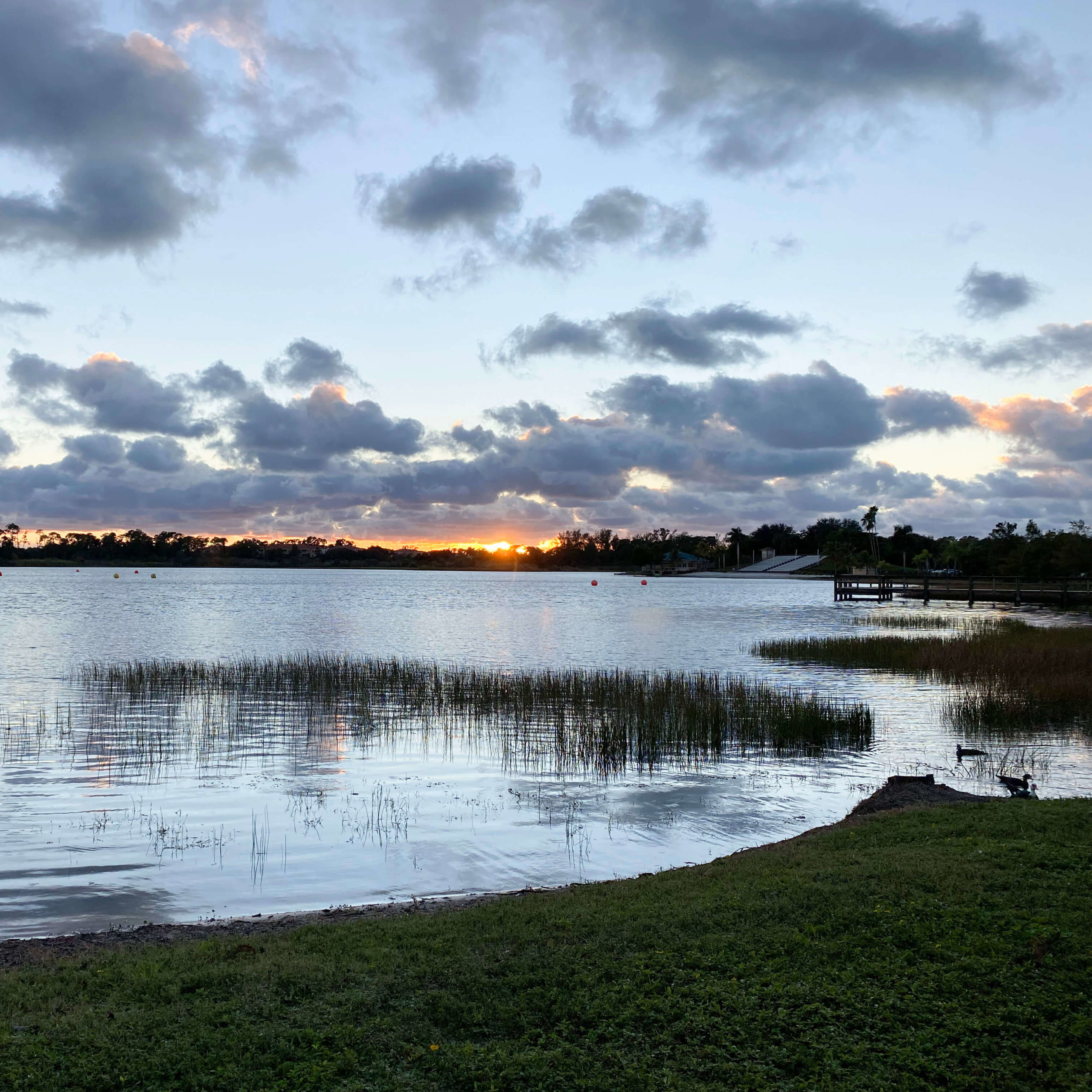 Sugden Park in Naples - Live Like a Local in Naples Florida