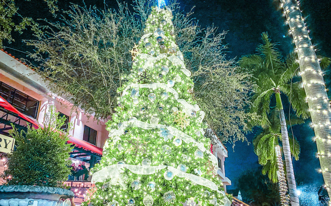 Weekend Events in Naples, Florida for December 2022