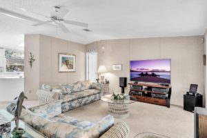 205 Belle Isle Ct - Living Room