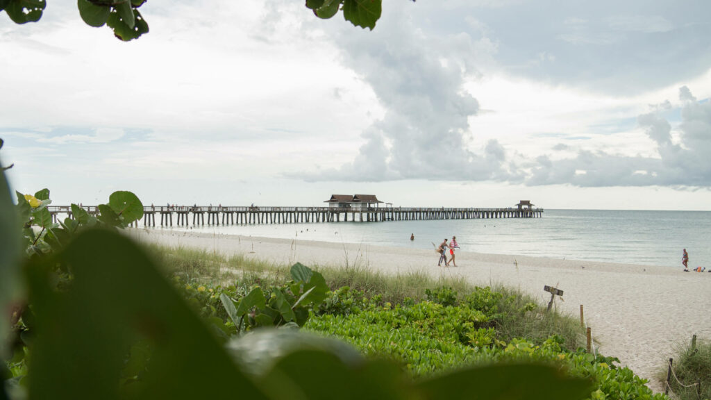 What to Do in Naples Florida - August 2023