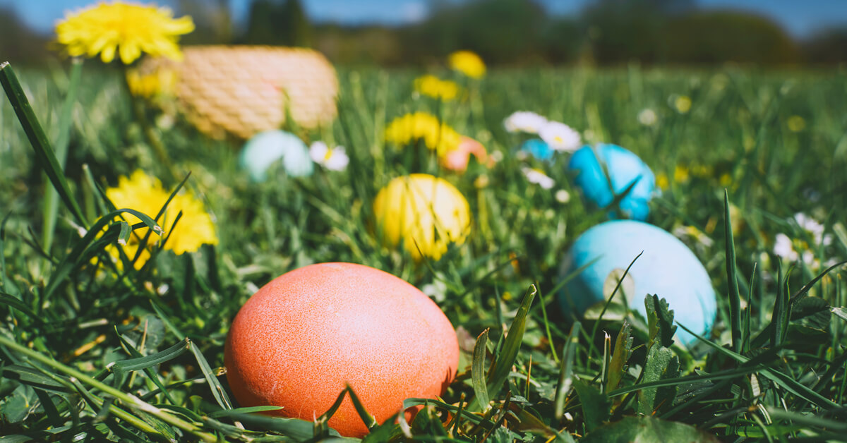 What to Do in Naples Florida Weekend Guide - Easter - March 28 - 31, 2024